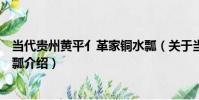 當代貴州黃平亻革家銅水瓢(關于當代貴州黃平亻革家銅水瓢介紹)