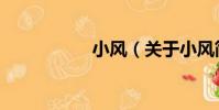 小風(關于小風簡介)