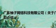 廣東柚子網絡科技有限公司(關于廣東柚子網絡科技有限公司介紹)