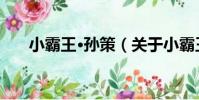 小霸王·孫策(關于小霸王·孫策簡介)