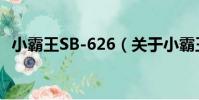 小霸王SB-626(關于小霸王SB-626簡介)