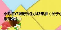 小除與盧冀野先生小飲秦淮(關于小除與盧冀野先生小飲秦淮簡介)