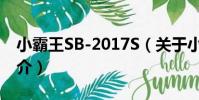 小霸王SB-2017S(關于小霸王SB-2017S簡介)