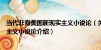 當代非裔美國新現實主義小說論(關于當代非裔美國新現實主義小說論介紹)