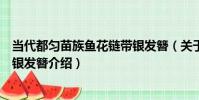 當代都勻苗族魚花鏈帶銀發簪(關于當代都勻苗族魚花鏈帶銀發簪介紹)