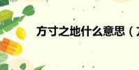 方寸之地什么意思(方寸之地)