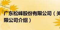 廣東松峰股份有限公司(關于廣東松峰股份有限公司介紹)