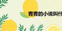 青青的小說叫什么?