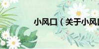 小風口(關于小風口簡介)