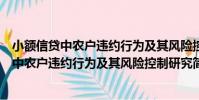 小額信貸中農戶違約行為及其風險控制研究(關于小額信貸中農戶違約行為及其風險控制研究簡介)