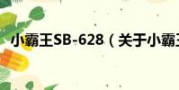 小霸王SB-628(關于小霸王SB-628簡介)