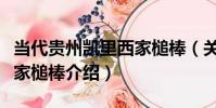 當代貴州凱里西家槌棒(關于當代貴州凱里西家槌棒介紹)
