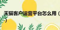 天貓客戶運營平臺怎么用(天貓客戶運營平臺)