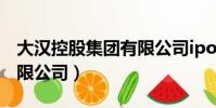 大漢控股集團有限公司ipo(大漢控股集團有限公司)