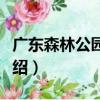 廣東森林公園概覽（關于廣東森林公園概覽介紹）