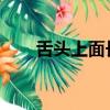 舌頭上面長了凸起肉粒（stsm在哪）