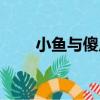 小魚與傻瓜（關于小魚與傻瓜簡介）