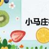 小馬莊村（關于小馬莊村簡介）