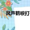 風聲鶴唳打一生肖（風聲鶴唳打一生肖）
