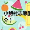 小鮑村志愿服務隊（關于小鮑村志愿服務隊簡介）
