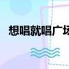 想唱就唱廣場舞完整版（想唱就唱安又琪）