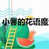 小馨的花語魔法（關于小馨的花語魔法簡介）