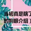 當初真是瞎了我的狗眼（關于當初真是瞎了我的狗眼介紹）