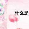 什么是引渡條約（什么是引渡）