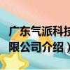 廣東氣派科技有限公司（關于廣東氣派科技有限公司介紹）