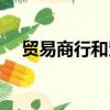 貿易商行和貿易中心哪個好（貿易商行）