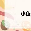 小魚夫（關于小魚夫簡介）