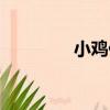 小雞仔（關于小雞仔簡介）