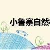 小魯寨自然村（關于小魯寨自然村簡介）