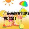 廣東森納智能家具有限公司（關于廣東森納智能家具有限公司介紹）