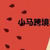 小馬跨境車（關于小馬跨境車簡介）