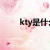 kty是什么意思（KTY是什么意思）