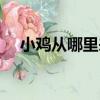 小雞從哪里來（關于小雞從哪里來簡介）