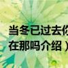 當冬已過去你還在那嗎（關于當冬已過去你還在那嗎介紹）
