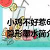 小雞不好惹6：隱形墨水（關于小雞不好惹6：隱形墨水簡介）