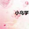 小鳥學飛（關于小鳥學飛簡介）