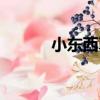 小東西真別致（小東西才一半）