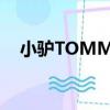 小驢TOMMY（關于小驢TOMMY簡介）