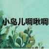 小鳥兒啁啾啁啾（關于小鳥兒啁啾啁啾簡介）