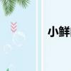 小鮮肉（關于小鮮肉簡介）