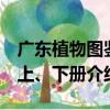 廣東植物圖鑒 上、下冊（關于廣東植物圖鑒 上、下冊介紹）