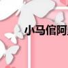 小馬倌阿里（關于小馬倌阿里簡介）
