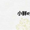 小鮮e站（關于小鮮e站簡介）