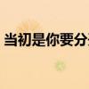 當初是你要分開（關于當初是你要分開介紹）