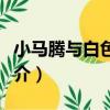 小馬騰與白色海螺（關于小馬騰與白色海螺簡介）