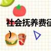 社會撫養費征收標準表（社會撫養費征收標準）
